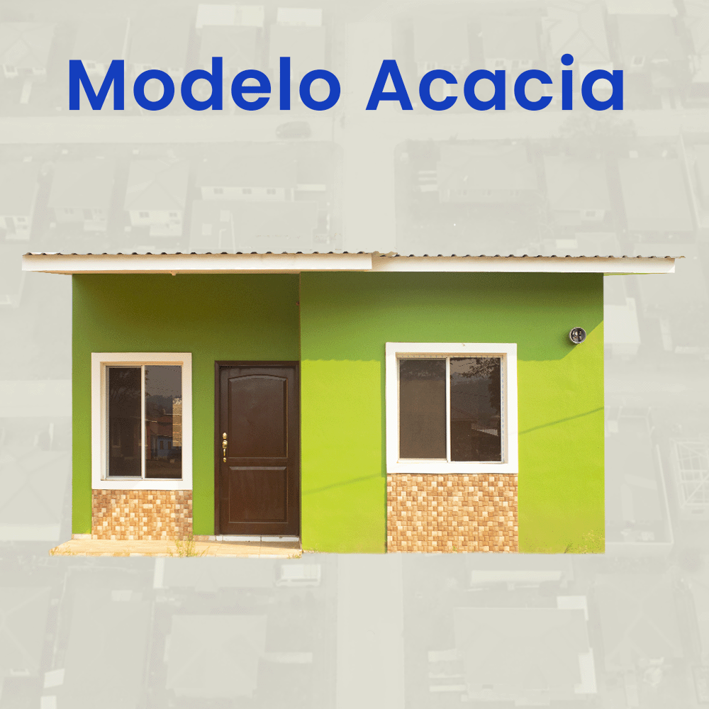 Modelo Acacia